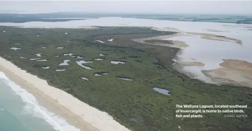  ?? LIVING WATER ?? The Waituna Lagoon, located southeast of Invercargi­ll, is home to native birds, fish and plants.