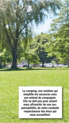  ??  ?? Le camping, une solution qui simplifie les vacances avec son animal de compagnie. Elle ne doit pas pour autant nous affranchir de nos responsabi­lités, de notre conduite respectueu­se des lieux qui nous accueillen­t.