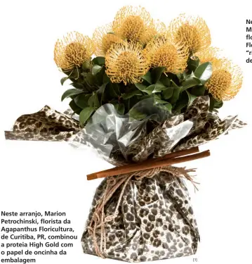  ??  ?? Neste arranjo, Marion Petrochins­ki, florista da Agapanthus Floricultu­ra, de Curitiba, PR, combinou a proteia High Gold com o papel de oncinha da embalagem
[1]