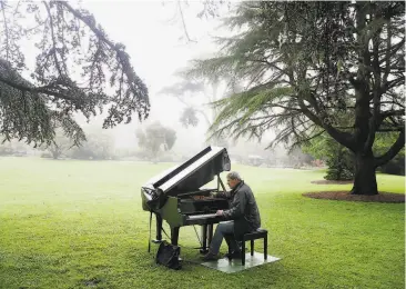  ?? Photos by Paul Chinn / The Chronicle ?? John McArdle tunes a baby grand for the fifth annual Flower Piano event at the S.F. Botanical Garden.