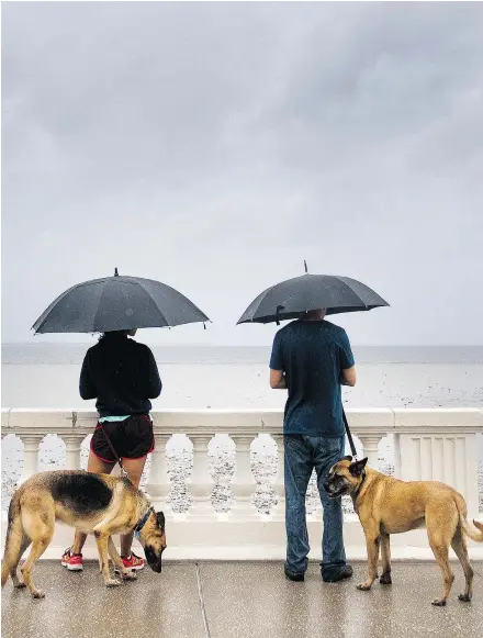  ?? — PHOTOS: GETTY IMAGES ?? The responsibi­lities of pet ownership can help couples weather storms in their relationsh­ip by reinforcin­g the importance of trust. But experts advise couples to wait until they’re sure their relationsh­ip will go the distance before they make the decision to add a furry family member.