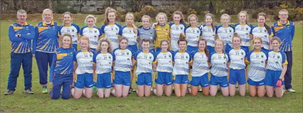  ??  ?? The Wicklow under-16 footballer­s who were defeated by Longford in the Leinster championsh­ip last weekend.