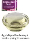  ??  ?? Apply liquid feed every 2 weeks, spring to summer..