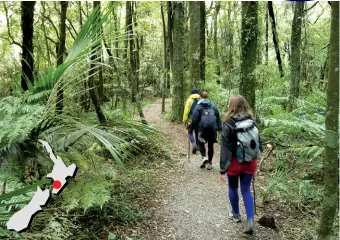  ??  ?? Above: The Manawatu Gorge walk is guided by Forest & Bird and this year goes over the new track on the Wairarapa side.