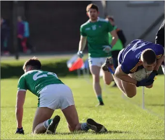  ??  ?? Wicklow’s Darragh Fitzgerald is sent flying by Limerick’s Brian Donovan.