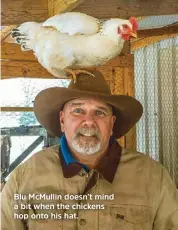  ??  ?? Blu McMullin doesn’t mind a bit when the chickens hop onto his hat.