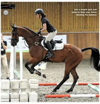  ??  ?? Use a simple grid and jump to help your horse develop his balance