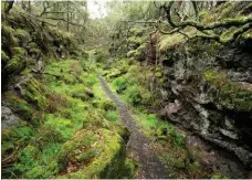  ??  ?? A lava canal running through Mt Eccles NP, formed when flowing lava splashed up the side of the gully and cooled.