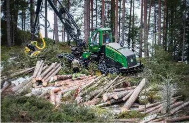  ?? ARKIVFOTO: MORTEN ANTONSEN ?? Finland og Sverige har allerede i dag betydelig produksjon av avansert biodrivsto­ff basert på skogsråsto­ff. At en aktør som det finske oljeselska­pet Neste inntil videre sitter på gjerdet betyr ikke at markedet som sådan har mistet troen, skriver...