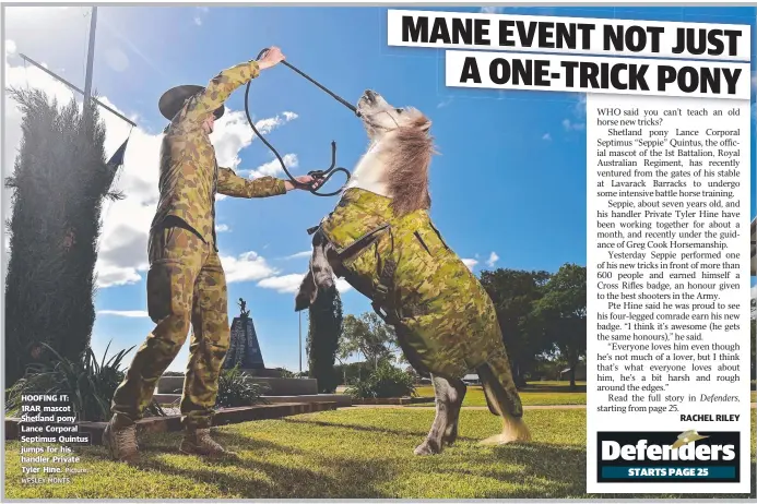  ?? Picture: WESLEY MONTS ?? HOOFING IT: 1RAR mascot Shetland pony Lance Corporal Septimus Quintus jumps for his handler Private Tyler Hine.