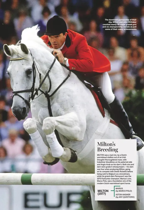  ??  ?? The dominant partnershi­p of their
day, Milton and John Whitaker counted nearly 30 major grands prix and six championsh­ip medals as just
some of their many achievemen­ts