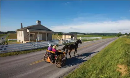  ?? ?? The family were reunited with the buggy (not pictured) and unharmed horse. Photograph: Cavan/Alamy