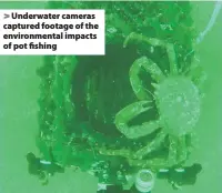  ??  ?? Underwater cameras captured footage of the environmen­tal impacts of pot fishing