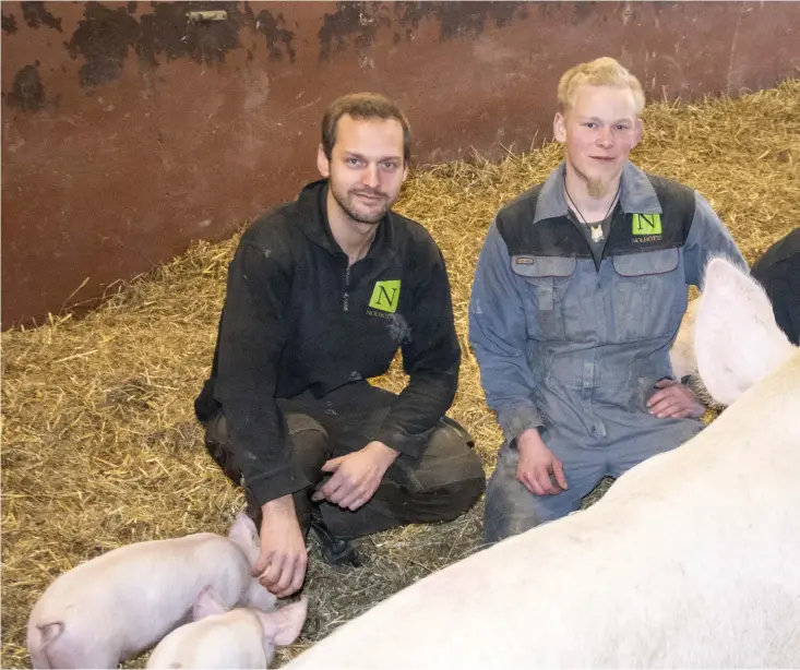  ??  ?? Örjan Olsson är mest intressera­d av de fordonstek­niska bitarna på gården, David Nilsson är mer förtjust i grisarna. Till höger Hans-Ola Olsson som varit verksam på gården sedan 20-årsåldern.