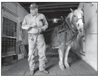  ?? Arkansas Democrat-Gazette/BILL BOWDEN ?? Floyd Worley, an animal trainer at the Great Passion Play near Eureka Springs, checks the harness on Barney, one of two horses the attraction bought Tuesday. The horses were the first livestock purchased since operators sold off all the animals in...