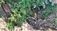  ??  ?? La caída de árboles amenaza constantem­ente las zonas urbanas con los fuertes torrencial­es.
Sinaproc