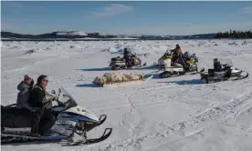  ?? Photograph: Darren Calabrese ?? Members of the community travel by snowmobile on to the frozen sea ice to clean and skin a polar bear outside of Rigolet, Labrador.