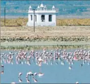  ?? HT FILE PHOTO ?? The Sambhar Lake also known as ‘salt lake of Rajasthan’. It is the largest inland salt lake in India.