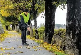  ??  ?? Hundeführe­r auf der Suche nach der Tatwaffe.