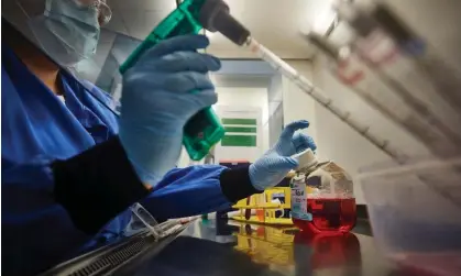  ?? Photograph:David Levene/The Guardian ?? Whole trays of test samples were sometimes dropped or knocked over in testing labs.