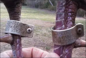  ?? Photos submitted by Melvin Mills ?? Since 1992, Melvin Mills and Pat Mills of Warren have traveled all over in a quest for a “Family Slam” of killing a wild turkey in the 49 states that have them. The quest has produced many memories and trophy gobblers, including this double-banded...