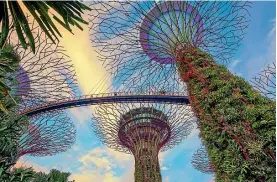  ??  ?? Gardens by the Bay is one of Singapore’s main attraction­s.