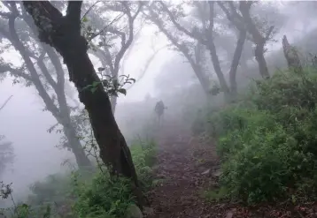  ??  ?? Por acción del sol, las nubes suben y quedamos inmersos en ellas. Mochilas de unos 60 litros son necesarias para llevar todo el equipo. Caminata por la reserva El Huaco.