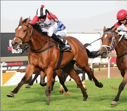  ?? Picture: JC Photograph­ics ?? GOOD BET. A drop in distance could make Invincible Lady the best bet on tomorrow’s Vaal card when she lines up in Race 7 over 1450m on the Vaal Classic course.