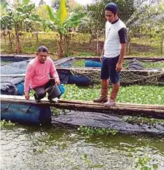  ??  ?? SAEDIN (kiri) memberi makanan kepada ikan di kolamnya.