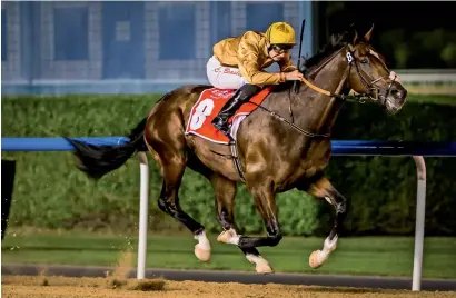  ?? — Photo by Neeraj Murali ?? New Trails, ridden by Connor Beasley, wins the feature race at Meydan racecourse on Thursday.