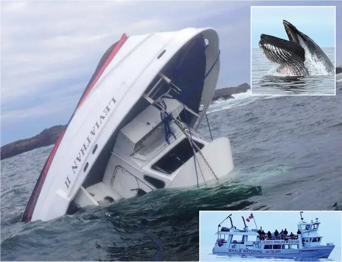  ??  ?? Capsized: The submerged 65ft Leviathan II, which had set off from Tofino on Vancouver Island, on a whale watching tour run by local firm Jamie’s Whaling Station