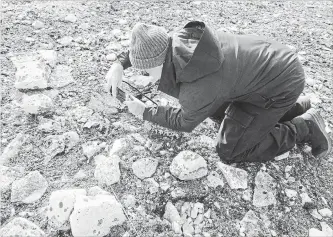  ?? ANDREW STIRLING THE CANADIAN PRESS ?? Douglas Stenton documents remains in the grave of a Franklin expedition officer on King William Island.