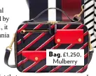  ??  ?? Bag, £1,250, Mulberry