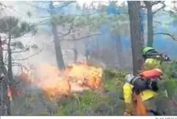 ?? PLAN INFOCA ?? Dos agentes forestales participan en la extinción del fuego.