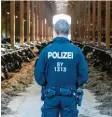  ?? Archivfoto: Ralf Lienert ?? Mehrere Großbetrie­be im Allgäu waren vor etwa eineinhalb Jahren Schauplatz von Polizeiraz­zien.