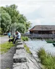  ?? Foto: smi ?? Die Befestigun­g und die Mauer am Ufer der Seeanlagen sind marode.