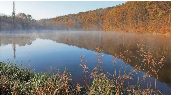  ?? FOTO: THOMAS REINHARDT ?? Der November ist oft grau, aber nicht immer: Morgenstim­mung am Absinkweih­er im Fischbacht­al nahe der Gemeinde Quierschie­d-Fischbach.