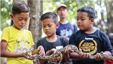  ?? DIMAS MAULANA/JAWA POS ?? MENGENAL LEBIH DEKAT: Anak-anak memegang ular piton di Kampung Lali Gadget, Desa Pagerngumb­uk, Kecamatan Wonoayu, Sidoarjo, kemarin.