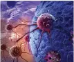  ??  ?? Six types of cancer cells responded to the treatments­ome tumours to shrink.“Its mechanism of action is completely novel – it acts like a Trojan horse to sneak into cancer cells and kill them from the inside,” lead author Professor Johann de Bono said.