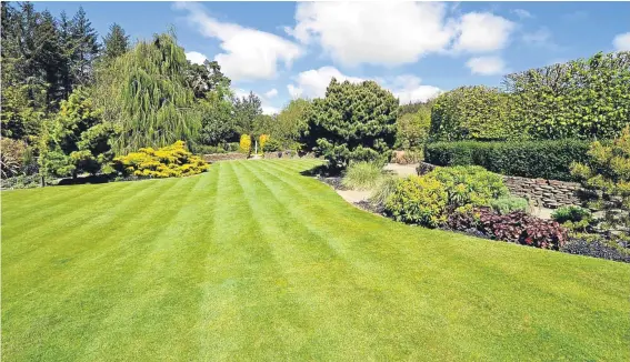  ??  ?? The era of the perfect, smooth lawn could be coming to an end thanks to climate change, experts are warning.