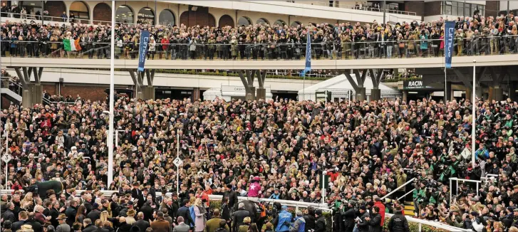  ?? A general view of the winners’ enclosure, with jockey Bryan Cooper on Don Cossack, after the Timico Cheltenham Gold Cup. Prestbury Park, Cheltenham. Picture credit: Seb Daly / SPORTSFILE ??