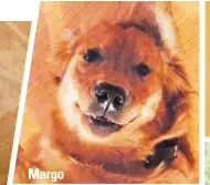  ?? ?? Margo