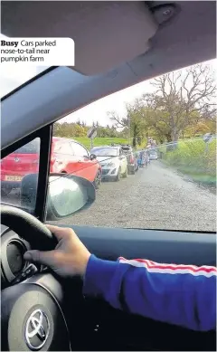  ??  ?? Busy Cars parked nose-to-tail near pumpkin farm