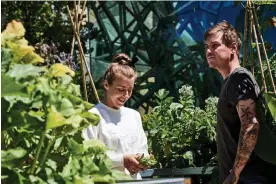  ?? Bradley/Madman Entertainm­ent ?? ‘We can have houses covered with biology, plants, ecosystems and waterfalls’: Greenhouse by Joost documents the green-thinking initiative­s of Future Food System. Photograph: Dean