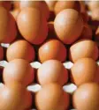  ?? Foto: Alexander Kaya ?? Im Kühlschran­k laut Studie über 100 Tage haltbar: Eier.