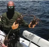  ?? Monroe County Sheriff’s Office Facebook page ?? Detective Sgt. Scott Ward holds lobsters on July 29, 2020.