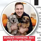  ??  ?? BORDER TERRIERS: Bert and Ernie with David