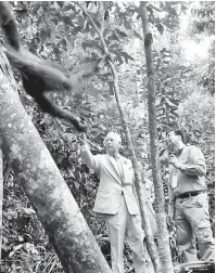  ?? — Gambar Bernama ?? MULIA: Putera Charles memberi makanan kepada Orang Utan ketika melawat Pusat Hidupan Liar Semenggoh, baru-baru ini.