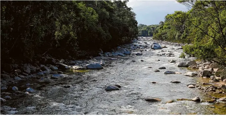  ?? ?? Wild und unbezwunge­n: Der
Río Piatúa fließt durch das Amazonasge­biet im dünn besiedelte­n Osten von Ecuador. Ein Kraftwerks­bauvorhabe­n bedroht dieses wertvolle Ökosystem. Fotos: David Schmidt