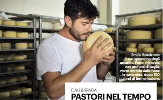  ??  ?? Emilio Spada con il suo «pecorino degli amanti». Forte, minerale, con profumi di paglia, viene estratto dalla fossa in novembre, dopo 100 giorni di fermentazi­one.